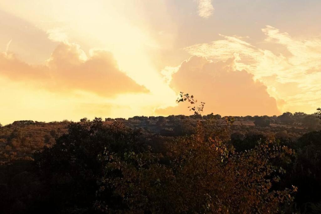 Villa Preciosa Con Hermosas Vistas. Hormigos Dış mekan fotoğraf